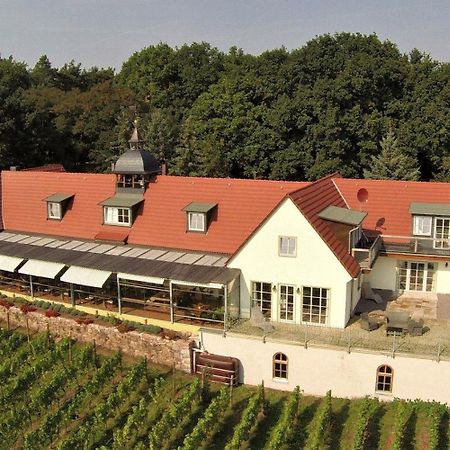 Pension Bella Vista - Winzerhof Golk Meißen 외부 사진