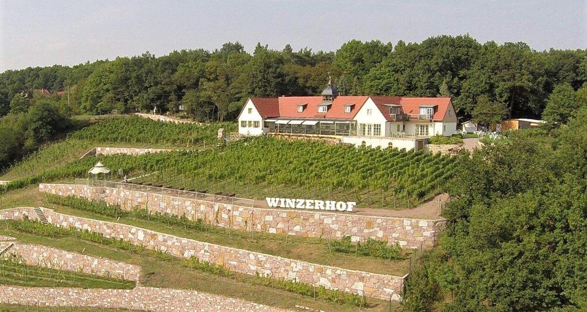 Pension Bella Vista - Winzerhof Golk Meißen 외부 사진